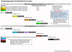 Graderingssystem BJJ 