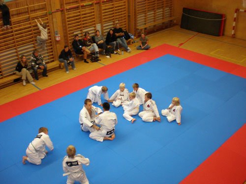 matta1 Vy från ovan